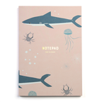 Sharks Notebook