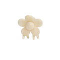 Bloomie Macadamia