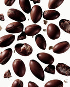 Botanical Body Oil Aoki – close-up of dark brown seeds on white background – body care