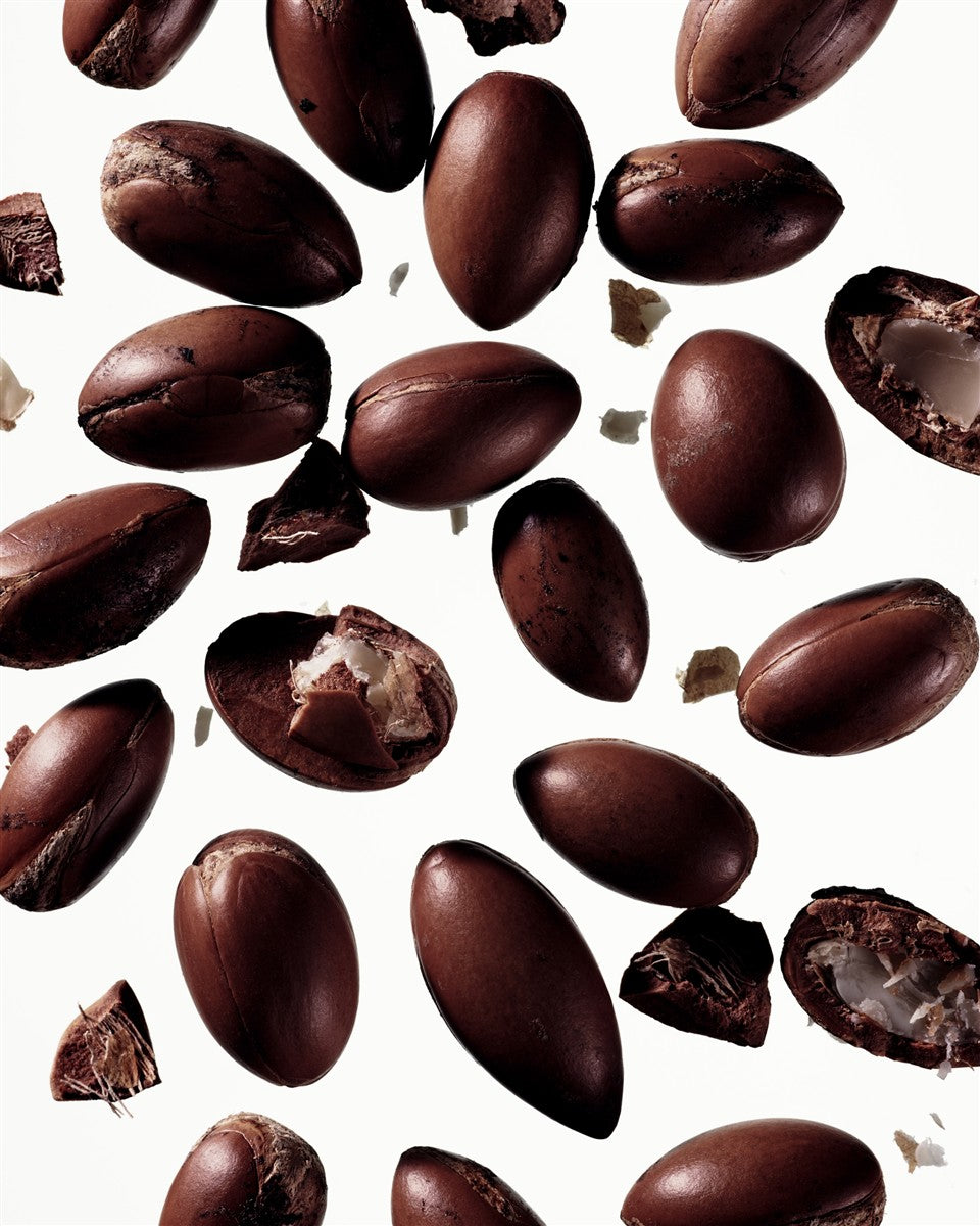 Botanical Body Oil Aoki – close-up of dark brown seeds on white background – body care