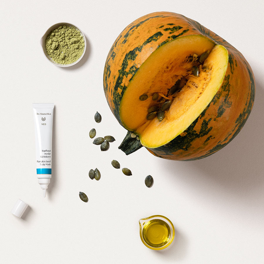 Dr. Hauschka MED Kopfhautmaske Kürbiskern – weiße Tube mit blauem Streifen, weißer Hintergrund – Haarpflege