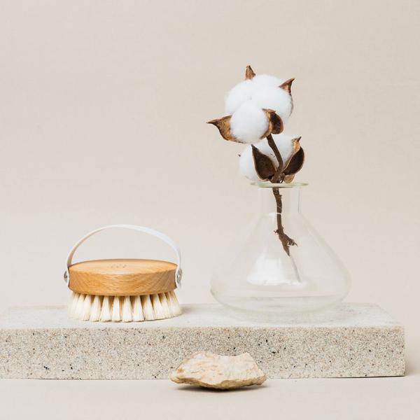The Soft Dry Brush