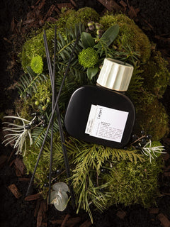 [atype] Ambiance Green Juniper Raumduft 250ml – schwarze Flasche mit cremefarbenem Deckel, Moos-Hintergrund – Duftkerzen
