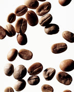No product image – coffee beans on white background – skin care
