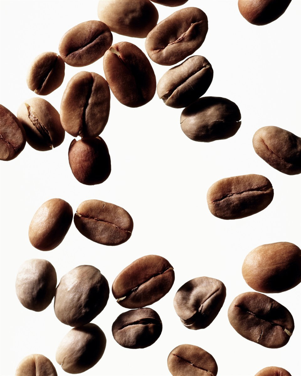 No product image – coffee beans on white background – skin care
