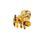 Paw Tiger