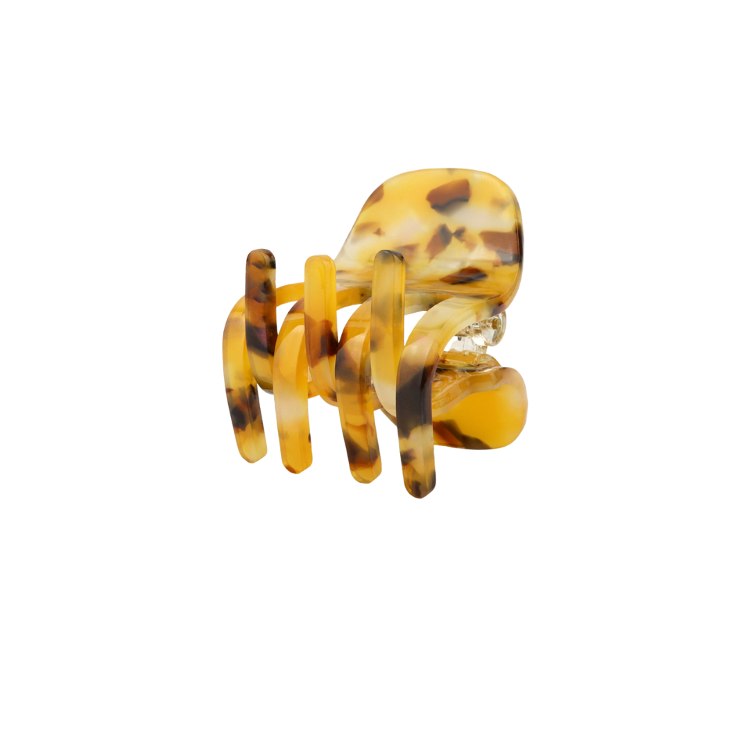 Paw Tiger