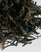 No. 051 Spa Bath Seaweed – getrocknete Algen auf weißem Hintergrund – Badezusatz