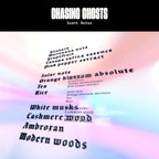 Chasing Ghosts Parfum – scent notes on pastel background with black header – perfume