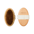 The Energizing Brush
