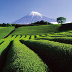Imperial Green Tea – grüne Teeplantage vor dem Fuji, blauer Himmel – Hautpflege
