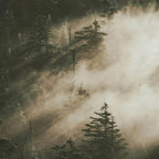 Raum- und Kissenspray Waldruhe