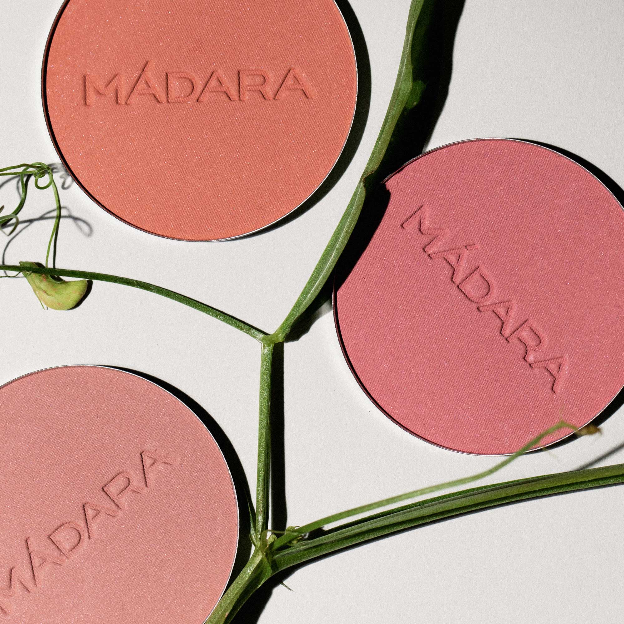 Magnetic Blush