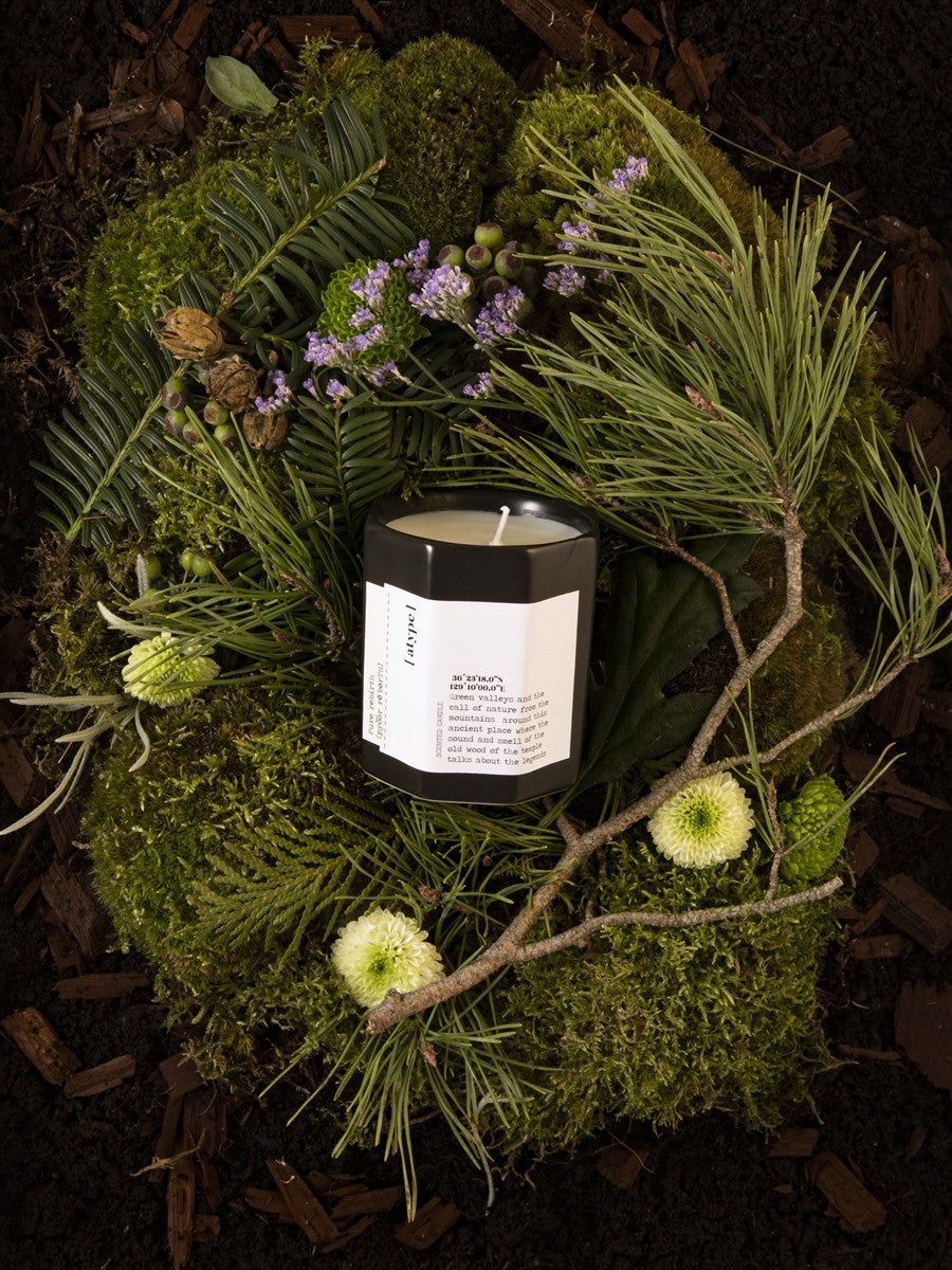 [atype] Duftkerze Green Juniper – schwarzer Kerzenbehälter 130g, weißes Etikett, Moos- und Nadelzweige im Hintergrund – Aromatherapie