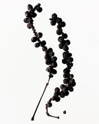 Botanical Body Oil Aoki – dried berries on white background – body care