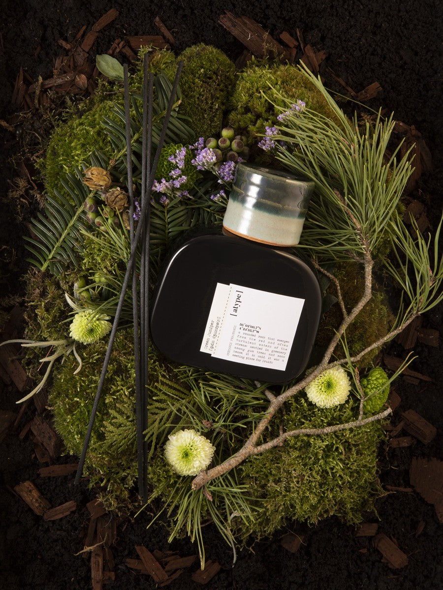 atype Ambiance Pure Rebirth Room Fragrance 250ml – black bottle with ceramic cap, moss and pine branches background – room fragrance