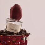 Pascent Red Flag Eau de Parfum – clear glass bottle with burgundy fabric cap, in red bowl with soil – perfume