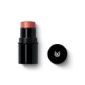 Lip to Cheek Blush Apricot 01 – schwarzer Stift, apricotfarbene Textur, weißer Hintergrund – Gesichts Make-up