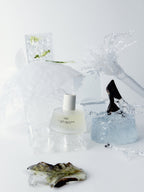 Tibi Eau de Parfum 50ml in einer Glasflasche mit weißem Verschluss vor eisigem Hintergrund.
