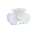 Fiore Bianco