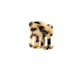Paw Cheetah