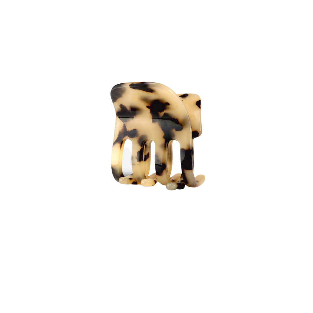 Paw Cheetah