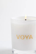 Oh So Scented Luxury Candle Eukalyptus