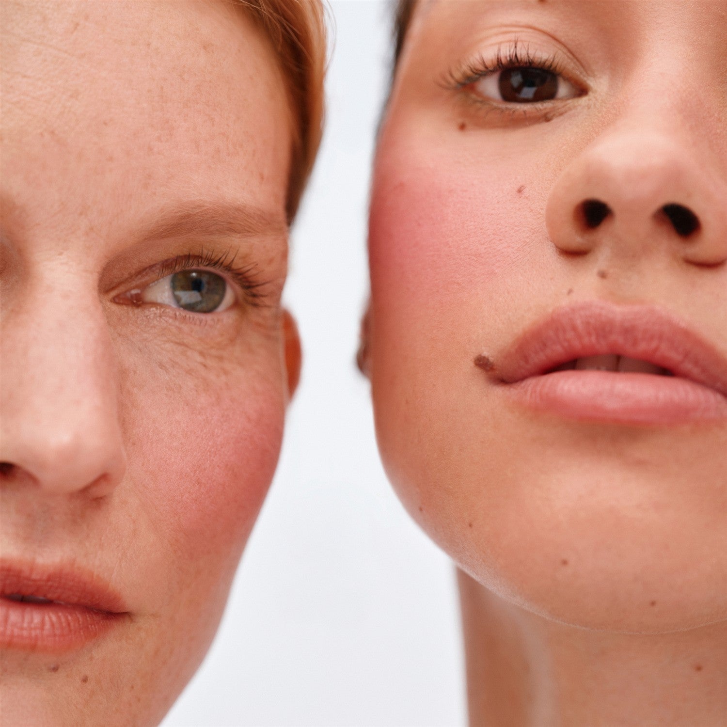 Soft Focus Blurring Blush – soft rose blush on cheeks, white background – face makeup