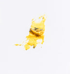 Everlasting Beauty Balm Concentrate