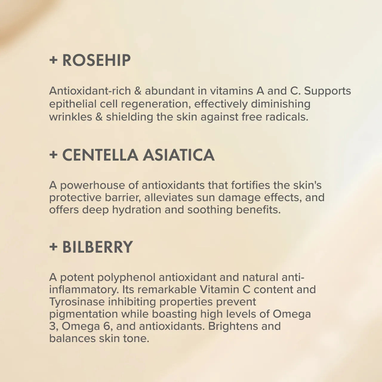 Rose Rejuvenating Face Cream
