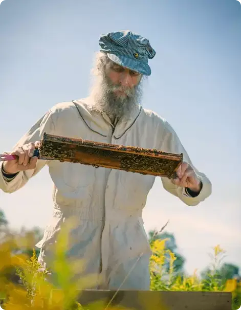 brand-img-Burt mit eine Wabe aus seinem Bienenvolk.webp