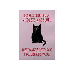 Pink postcard featuring a black cat and the text 'Roses are red, Violets are blue, just wanted to say: I tolerate you.'