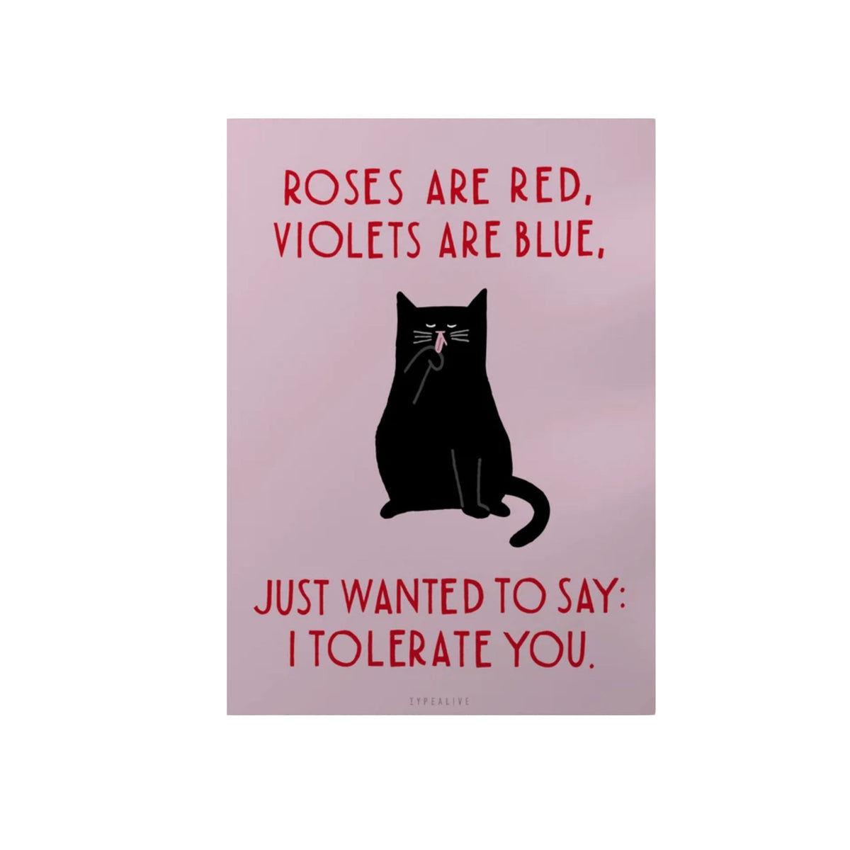Pink postcard featuring a black cat and the text 'Roses are red, Violets are blue, just wanted to say: I tolerate you.'