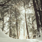 Duftkerze Winterzeit