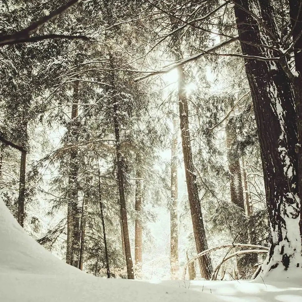 Duftkerze Winterzeit