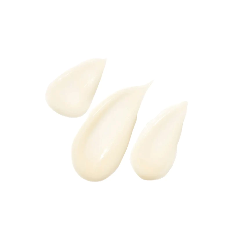 Holi(créme) Filter Face Cream