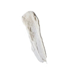 Creamy white swatch of Creamy Quartz & Enzyme Exfoliator on a white background, skin care